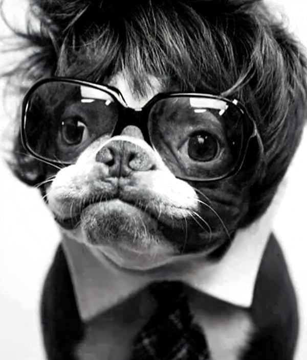 Live Product Options